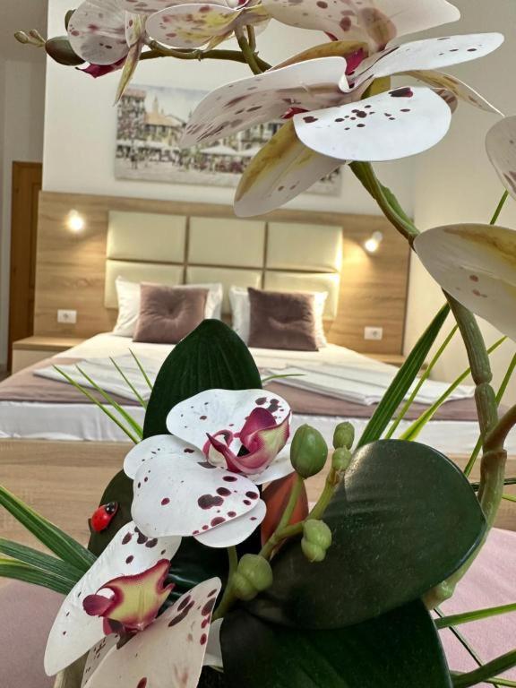 Apartments Sija Улцинь Экстерьер фото